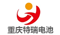 重庆特瑞电池材料股份有限公司招聘