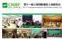 CNIBF 2019第十一届上海国际锂电工业展览会